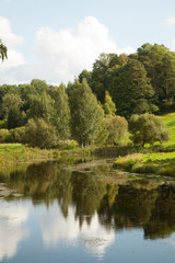 nature, river, trees, meadow