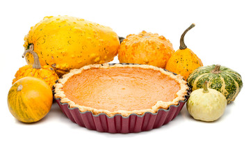 pumpkin pie arranged with small pumpkins isolated on white background