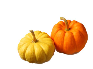 Bright Yellow and Vibrant Orange Color Ripe Pumpkins Isolated on White Background
