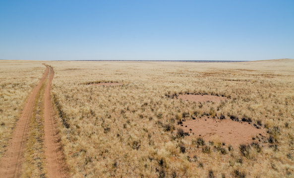 Fairy circles next to dirt road, a famous natural phenomenon, Damaraland, Namibia Southern Africa