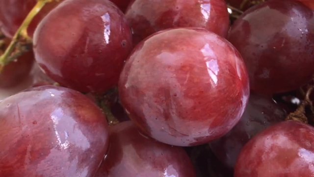 Red Grapes White background wet water droplet, authentic motion rain water droplets natural fruti deep view