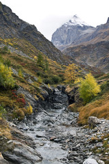 Il torrente scende schiumeggiante dalle alte vette imbiancate