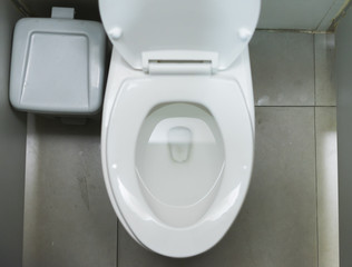 White flush toilet in bathroom, interior design