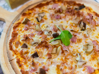 Delicious hot Baked Pizza with sliced Mushrooms, Cheese and Tomato sauce in wooden tray.