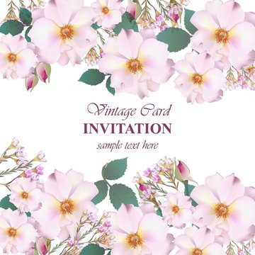 Wedding Invitation Card vector. Delicate rose and lavender flowers. Primrose pink colors