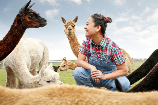 Woman sitting with alpacas, face to face, smiling