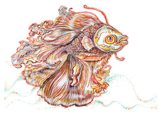 Obraz na płótnie Canvas Fighting fish paint Thai applied art unique design
