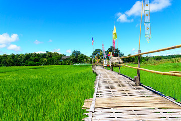 beautiful Rural bamboo bridge across the rice paddy fields with blue sky and fluffy cloud in sunny day at countryside. lampang, northern part of thailand. Bridge name "Sapan Boon Wat Pa That San Don"