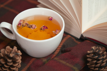 Cup of tea on the warm and cozy blanket