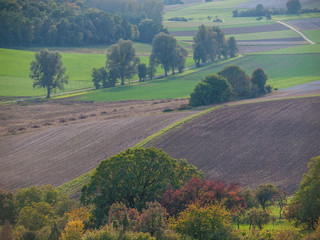 Agrarlandschaft