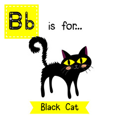 Cute children ABC alphabet B letter tracing flashcard of standing Black Cat for kids learning English vocabulary in Happy Halloween Day theme.