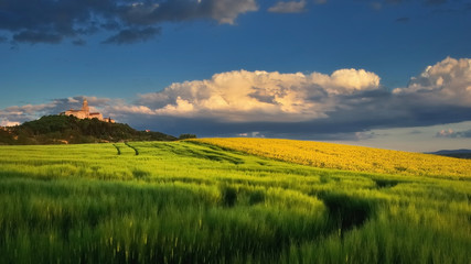 Pannonhalma Archabbey with wheat and rapeseed field in Hungary