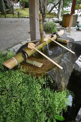 清めの水