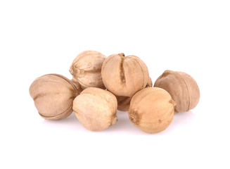 Siam Cardamom isolated on white background.