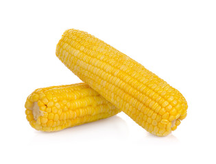 corn isolated on white  background