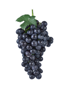 purple grapes  Isolated on white background