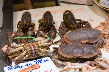 Seafood for sale on a fish market
