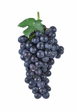 purple grapes  Isolated on white background