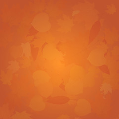 Autumn colors backgrounds