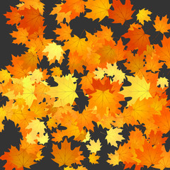 Scatter leaves background. Foliage autumn backdrop illustration
