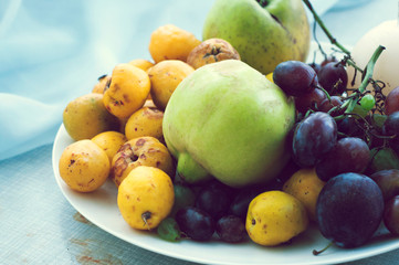 Quince, grapes, apples and plums on a white plate. Autumn seasonal fruits