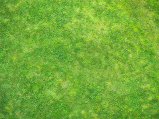 Green lawn view high above, smooth green grass background