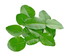 Kaffir lime leaves. isolated on white backgroun