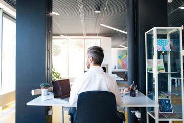 Businessman at the desk with laptop in his office.