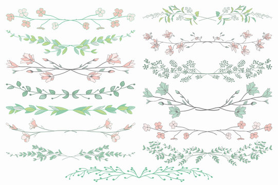 Vector Dividers with Branches, Plants and Flowers