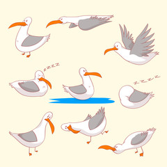 Naklejka premium Collection of colorful vector illustrations of cartoon marine burds or seagulls in different positions