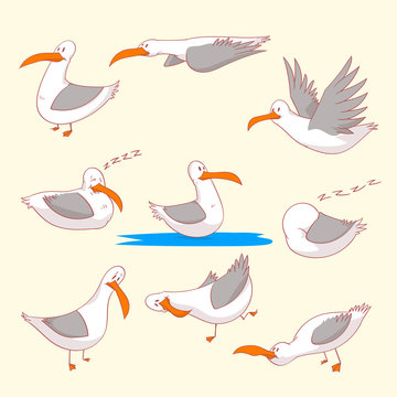 Collection of colorful vector illustrations of cartoon marine burds or seagulls in different positions