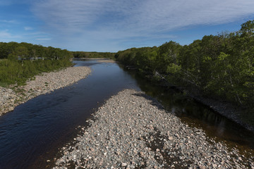 Fototapeta na wymiar Scenic view of a river in forest, Petit Etang, Cabot Trail, Cape Breton Island, Nova Scotia, Canada