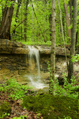 waterfall in the forest