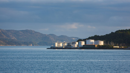 Plant on the coast of Stavanger, Norway