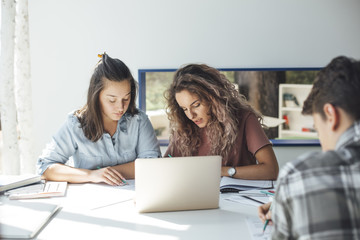 Friends Studying Together