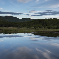 Scenic view of calm river in forest, Cheticamp, Cabot Trail, Cape Breton Island, Nova Scotia, Canada