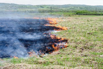 fire burning dry grass