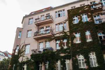 pink building with ivy on facade in vintage colors