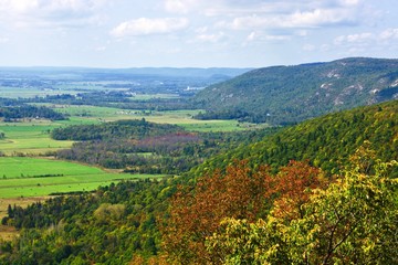 Obraz premium Beautiful view on the forest