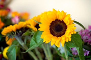 Beautiful bouquet of yellow sunflowers