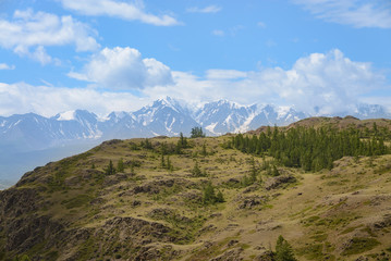 Fototapeta na wymiar Beautiful view of altay meadows at the foot of mountains. Beauty world
