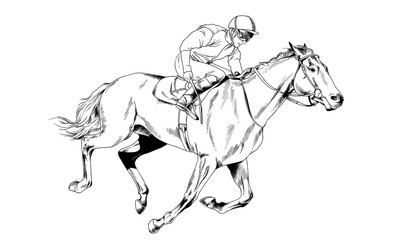 Fototapeta na wymiar jockey on a galloping horse painted with ink by hand on a white background
