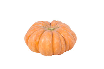 pumpkin isolate close-up