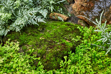 Green lawn in a colorful landscaped formal garden