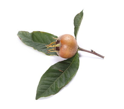 Fresh medlars isolated on white background