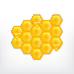 Honeycomb with flowing honey