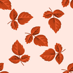 pattern of autumn leaves