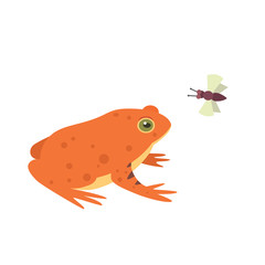 Red Frog Cartoon Vector Illustration isolated. tropical animal