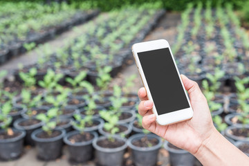 hand hold mobile phone in the garden