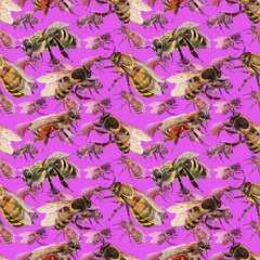 Exotic bee wild insect pattern in a watercolor style. Full name of the insect: bee, honeybee. Aquarelle wild insect for background, texture, wrapper pattern or tattoo.